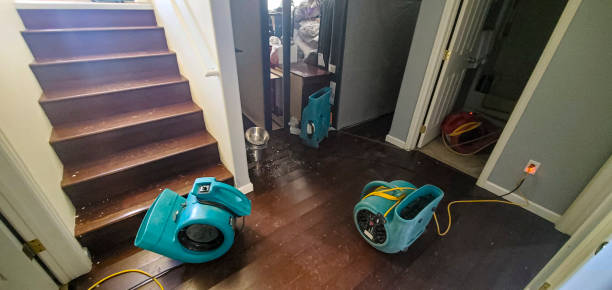 Best 24-hour water damage restoration  in Twin Lakes, NM