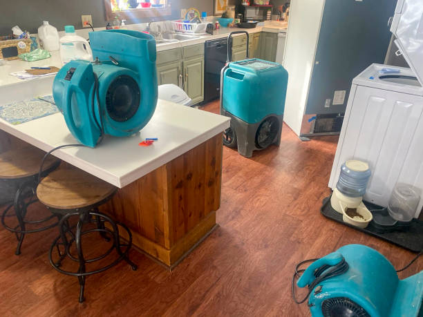  Twin Lakes, NM Water damage restoration Pros