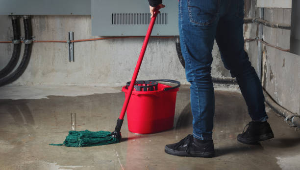 Best Fire Damage Restoration  in Twin Lakes, NM