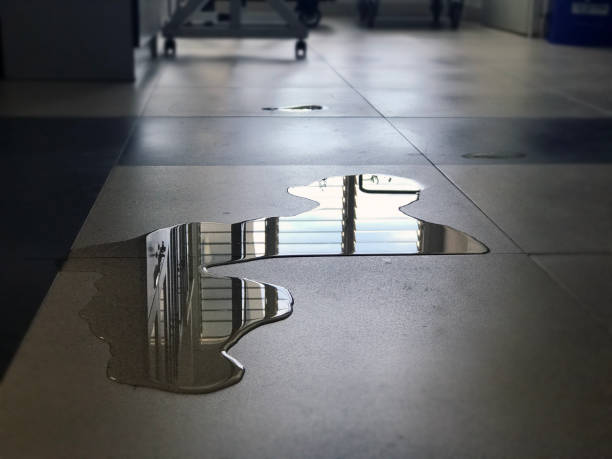 Best Water damage cleanup near me  in Twin Lakes, NM
