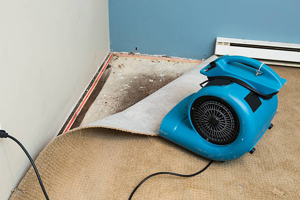 Best Emergency water damage restoration  in Twin Lakes, NM